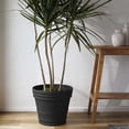 thumbnail image 2 of Bloem Rolled Rim 22" Round Plastic Planter - Lightweight, Heavy Duty Indoor/Outdoor Pot, Black, 2 of 4