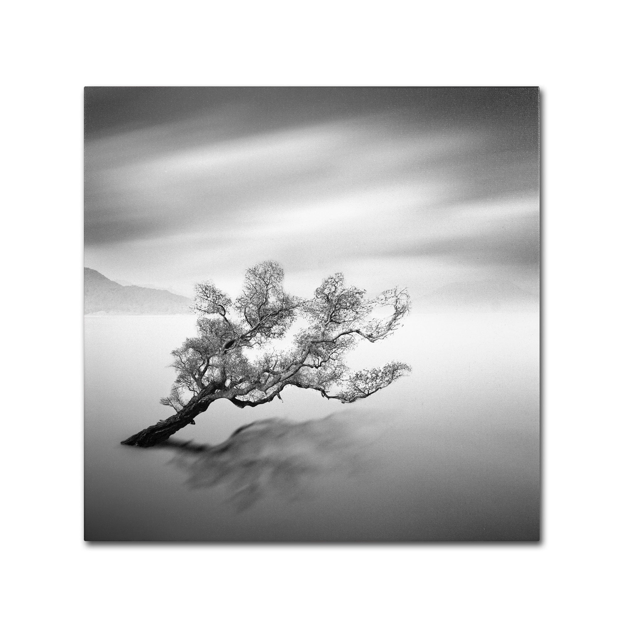 Trademark Fine Art "Water Tree VI" Canvas Art by Moises Levy