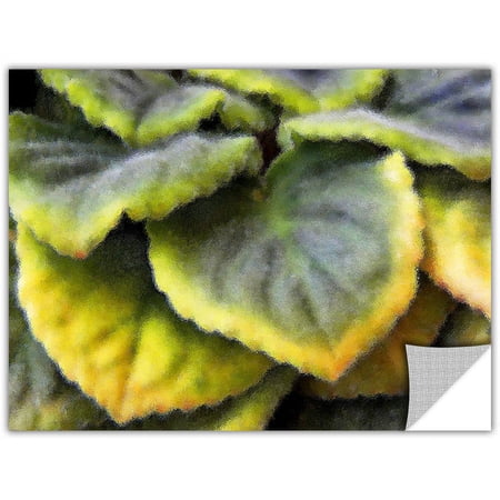 Dean Uhlinger Layers, Art Appeelz Removable Wall Art Graphic