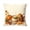 B002- Style C, variant on Halloween Pillow Cover, Fall Throw Pillow, Farmhouse Fall Decor, Halloween Home Decor, 1 Piece 18X18 Inch Soft Short Plush Pillow Cover, Single-Sided Retro Vintage Harvest Pumpkin