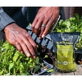 thumbnail image 4 of Sun Gro Black Gold Natural & Organic Seedling Mix Potting Soil 8 Qt 1 Bag, 4 of 7
