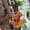 A, variant on Taicans Climbing Squirrel Planter Pot Hugger, 3.9x2.4 Inch Resin Animal Hooks for Balcony Fence Garden, Outdoor Weatherproof Flower Pot Decor