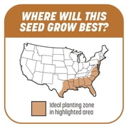 Pennington Smart Patch Centipede Seed Mix 5 lb