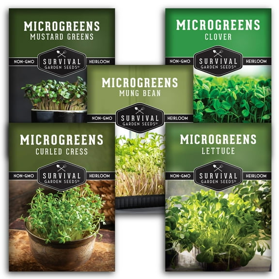 5 Pack Microgreens Seeds | Lettuce Cress Mung Bean Mustard Clover | Annual Vegetable Indirect Light