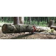 thumbnail image 4 of Woodchuck Tool DualPro Log Lifter/Cant Hook/Peavey/Forestry Dual/Timberjack, 4 of 5