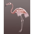 thumbnail image 2 of Fab Funky 20x24 Black Ornate Wood Framed with Double Matting Museum Art Print Titled - Flamingo Skeleton, 2 of 4