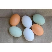 Wooden Fake Eggs-6 pieces by GREEN FABWOOD