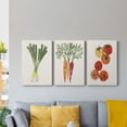 thumbnail image 5 of Organic Veg II Premium Gallery Wrapped Canvas - Ready to Hang - 12 x 18 Each, 5 of 10