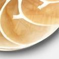 thumbnail image 3 of Designart 'Brown Nautilus Shell Pattern ' Modern wall clock, 3 of 6