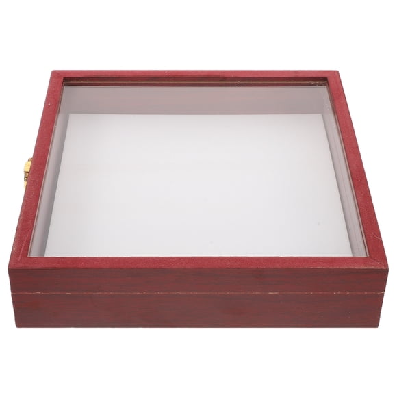 TABLZONE Decorative Display Box Coffee Wood Shadowbox Frame for Dried Flowers and Insect Displays