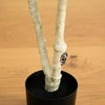 thumbnail image 5 of Nearly Natural Potted Artificial Birch Tree - 4' - Green, 5 of 6