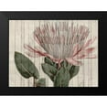 thumbnail image 2 of Studio W 18x15 Black Modern Framed Museum Art Print Titled - Rustic Floral IV, 2 of 5