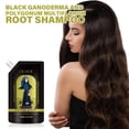 thumbnail image 2 of Champú y Acondicionador CZ TRADE para todo tipo de cabello sin silicona, 2 of 6