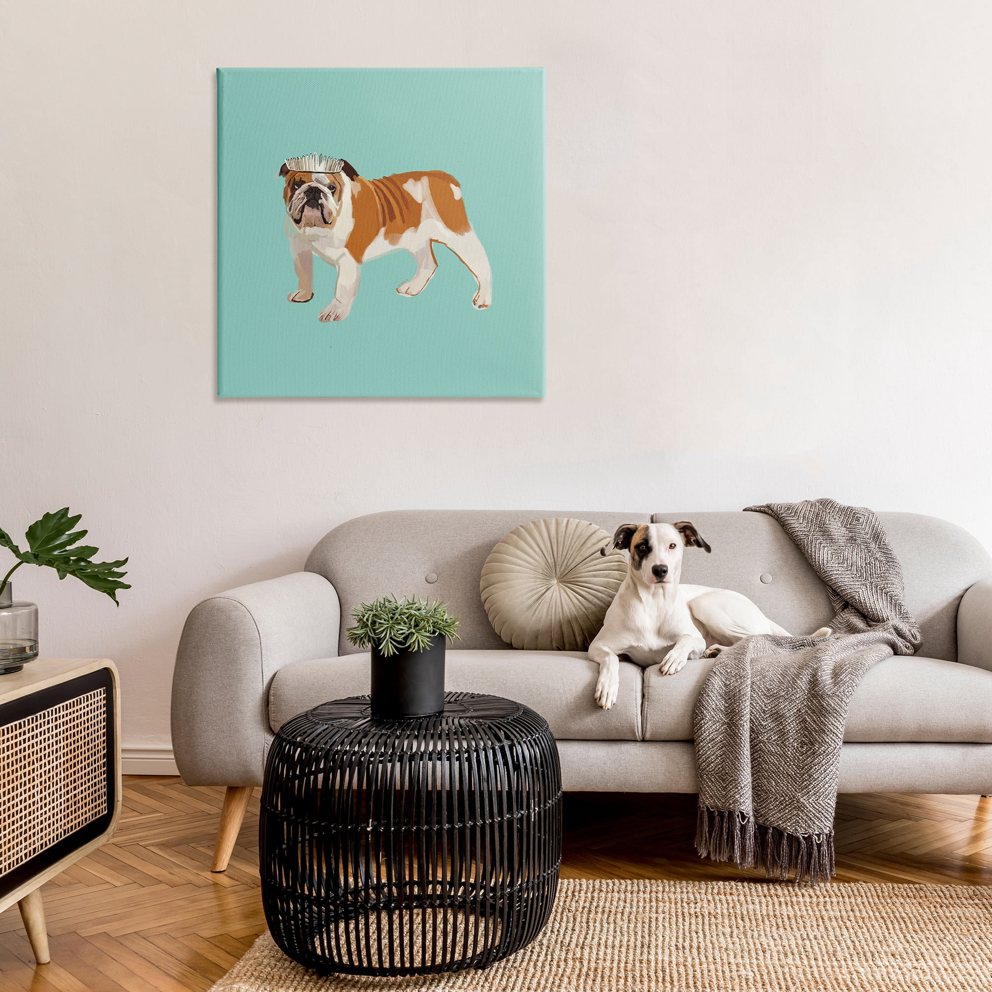 Stupell Industries Bulldog Wearing Tiara Animals & Insects Painting Gallery Wrapped Canvas Art Print Wall Art, 36 x 36