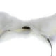 thumbnail image 5 of Diadema con orejas para mujer, niña o cosplay Blanco, 5 of 6