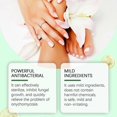 thumbnail image 4 of ExquisiteNail Growth Serum, Bee Venom Nail Growth and Repair Serum, Bee Venom Nail Treatment Serum, Bee Venom Nail Repair Solution, 4 of 5