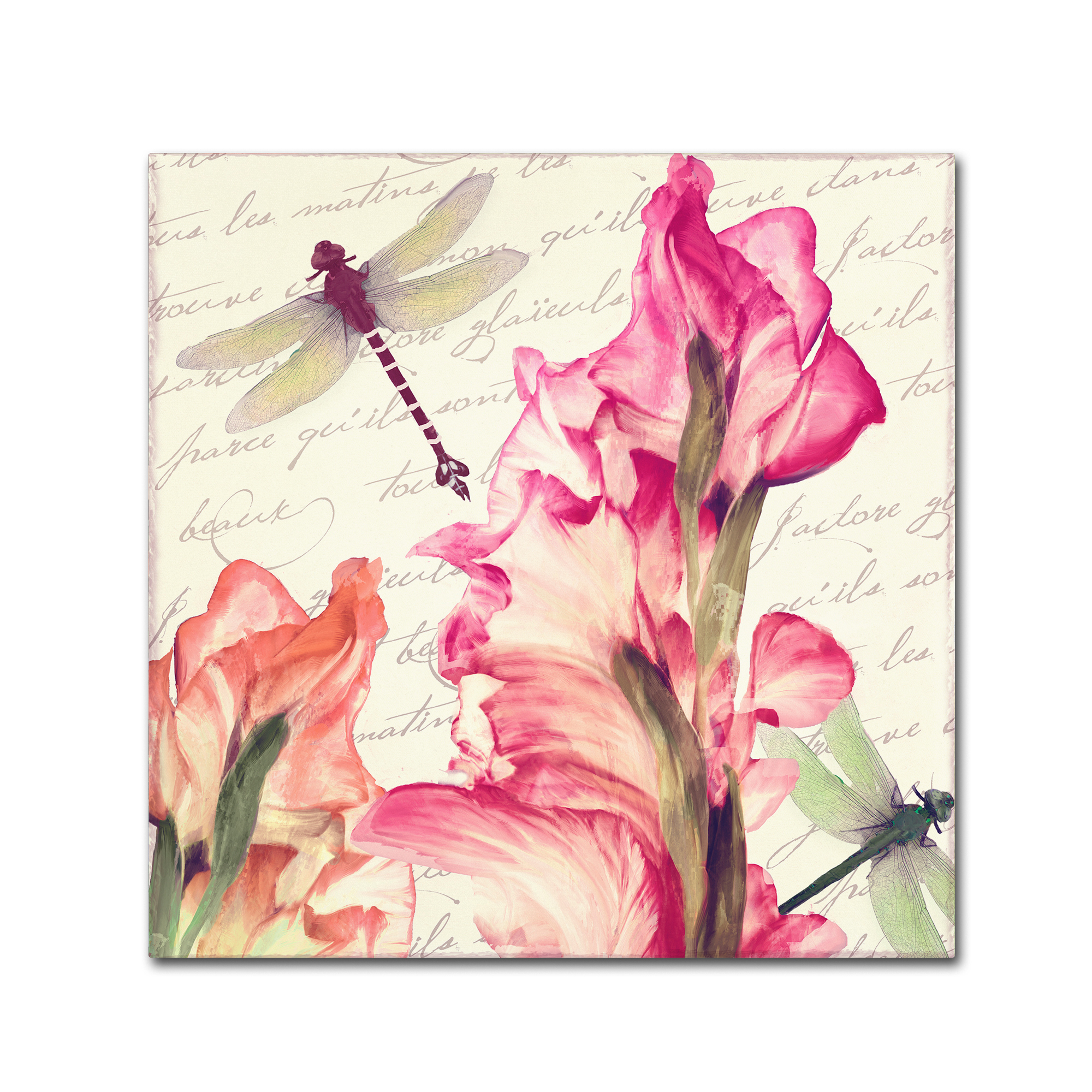 Trademark Fine Art "Dragonfly Morning I" Canvas Art by Color Bakery