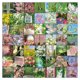 thumbnail image 2 of Pegatinas Spring & Floral, 50 unidades, material de vinilo impermeable, 2 of 2