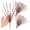 Berry and Cream, variant on Orange Pip Berry Sprays (Package of 6) by Factory Direct Craft: Add a Touch of Spring to Your Home
