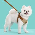 thumbnail image 4 of Dog Leashes for Small & Medium Dogs,Pet Dog Leash Set Small Medium Dog Vest Breathable Puppy Chest Strap French Chihuahua Pet(XS,Beige), 4 of 4