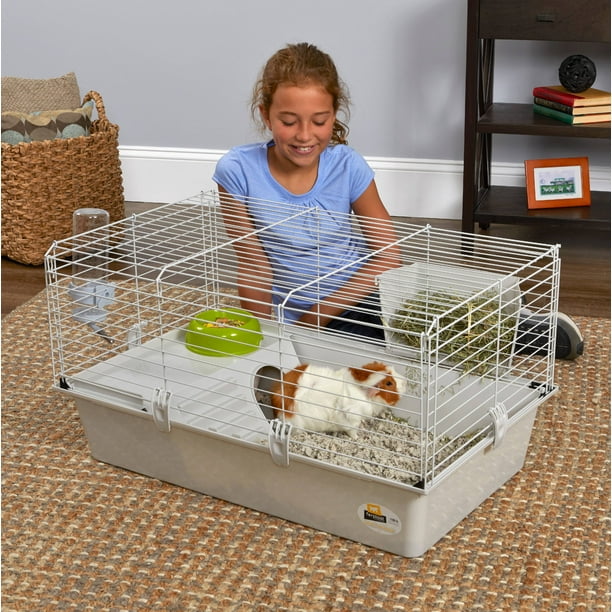 Cavie Guinea Pig Cage Walmart Business Supplies