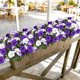 thumbnail image 5 of Flores Artificiales Ramo de Petunias Falsas de 7 Ramas Decoración de Jardín Exterior Resistente a los Rayos UV en Blanco y Púrpura para Balcón Porche Patio Paisajismo, 5 of 5