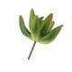 thumbnail image 4 of Adorno Hogar Artificial Flores Schlumbergera Punta Follaje para Oficina Casa de Colco Las plantas suculentas artificiales, 4 of 5