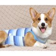 thumbnail image 7 of CHBORLESS Dog Postoperative Recovery Clothing Stripes Dog Anti-licking Weaning Protective Clothes, 7 of 7