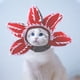 thumbnail image 3 of Perro Halloween Sombrero Girasol Perro Disfraz Mascotas Halloween Hombre Comedor Flor Sombrero Mascota Cosplay Disfraz para Fiesta ANGGREK  Otros, 3 of 8
