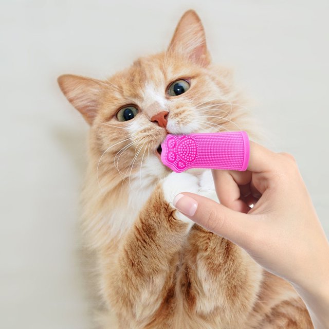 Pet Care Finger Toothbrush Soft For Dogs Cats Easy To Use Teeth Cleaning Tool Plaque Remover Grooming Supplies For Small Medium Large