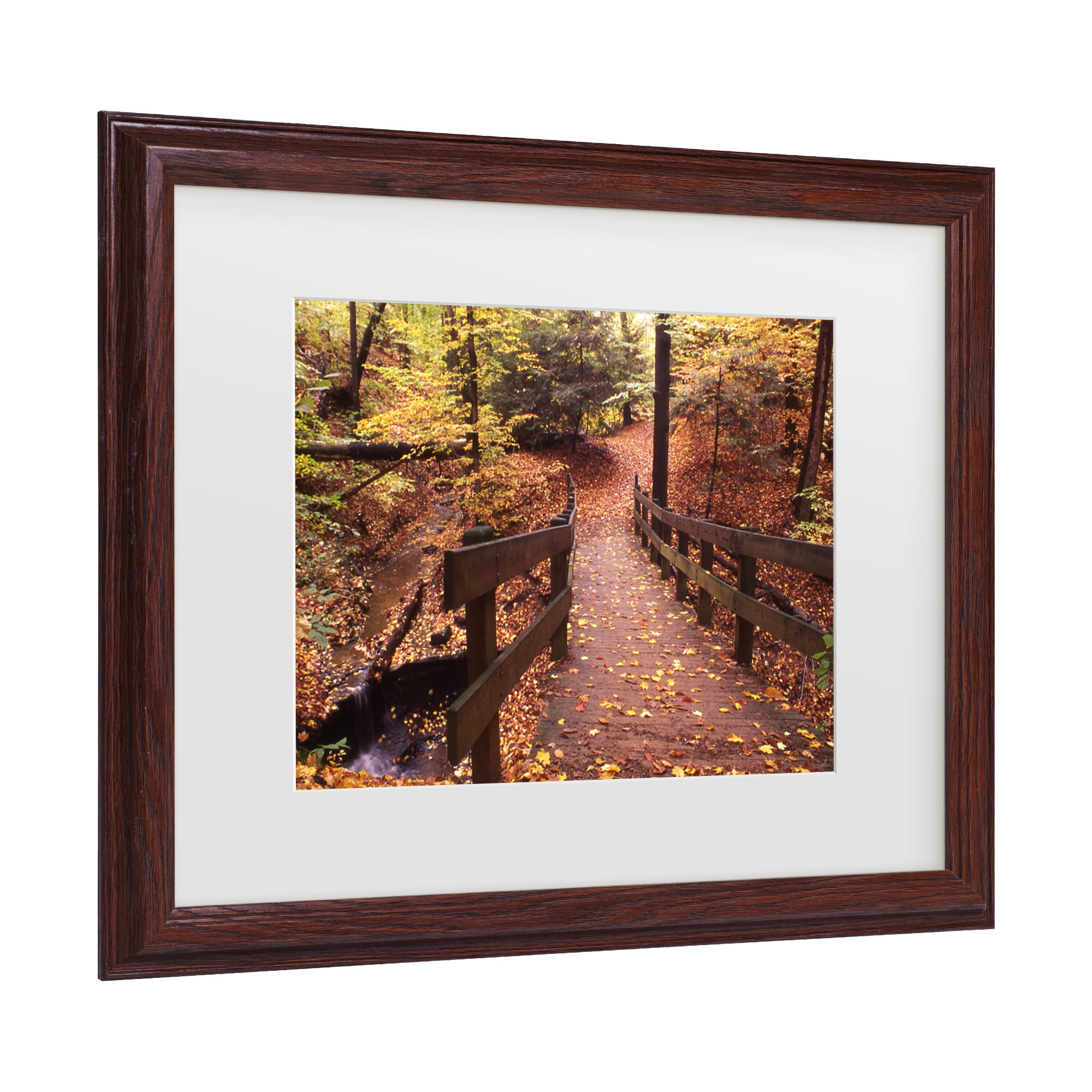 Trademark Fine Art 'Autumn Bridge' Canvas Art by Kurt Shaffer