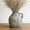 White, variant on Rustic Antique Ceramic Vase with Handle,5.2 Inch Large Terracotta Flower Vase for Home Decor