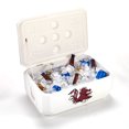 thumbnail image 2 of White South Carolina Gamecocks 40-Can Cornhole Cooler, 2 of 2