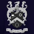 thumbnail image 3 of CafePress - Pi Alpha Phi Crest Greyscale Sweatshirt - Pullover Hoodie, Classic & Comfortable Hooded Sweatshirt, 3 of 4