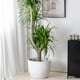 thumbnail image 4 of Maceta moderna for plantas con drenaje, apta for interiores y exteriores., 4 of 6