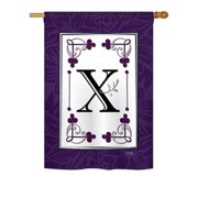 Breeze Decor - Classic N Initial Interests - Everyday Simply Beauty Impressions Decorative Vertical Garden Flag 13 x 18.5 Printed In USA