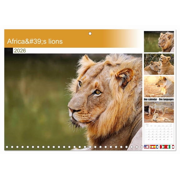 Africa's lions (Monthly Wall Calendar 2026 11.7 x 16.5 (open)), CALVENDO 14 Month Calendar