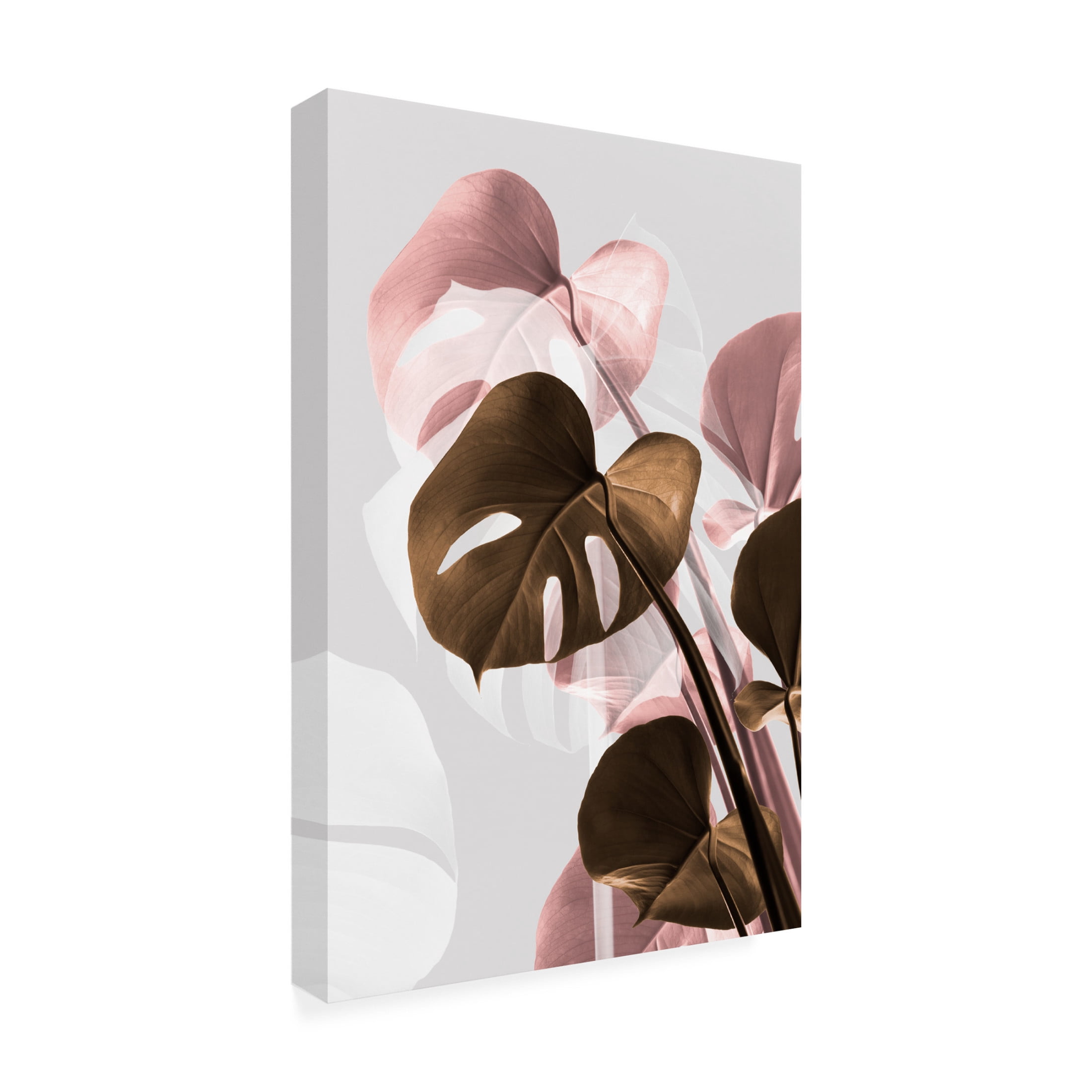Trademark Fine Art Pictufy Studio Monstera Creative 11 Canvas Wall Art
