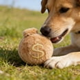 thumbnail image 4 of Forestwhale Spiky Ball Pet Toy 3.1in Money Bag Shaped Squeaky Plush Toy for Teething & Dental Health Cats & Dogs, 4 of 7