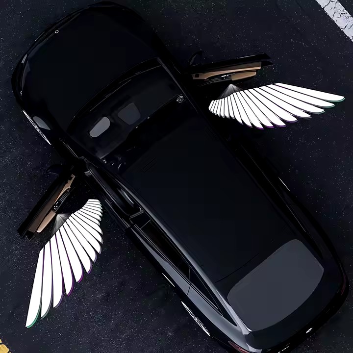 Car Door Logo Projector Lights