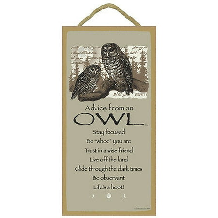 Hanging Wood Sign - ADVICE FROM AN OWL Inspirational Primitive Wood Hanging Sign 5