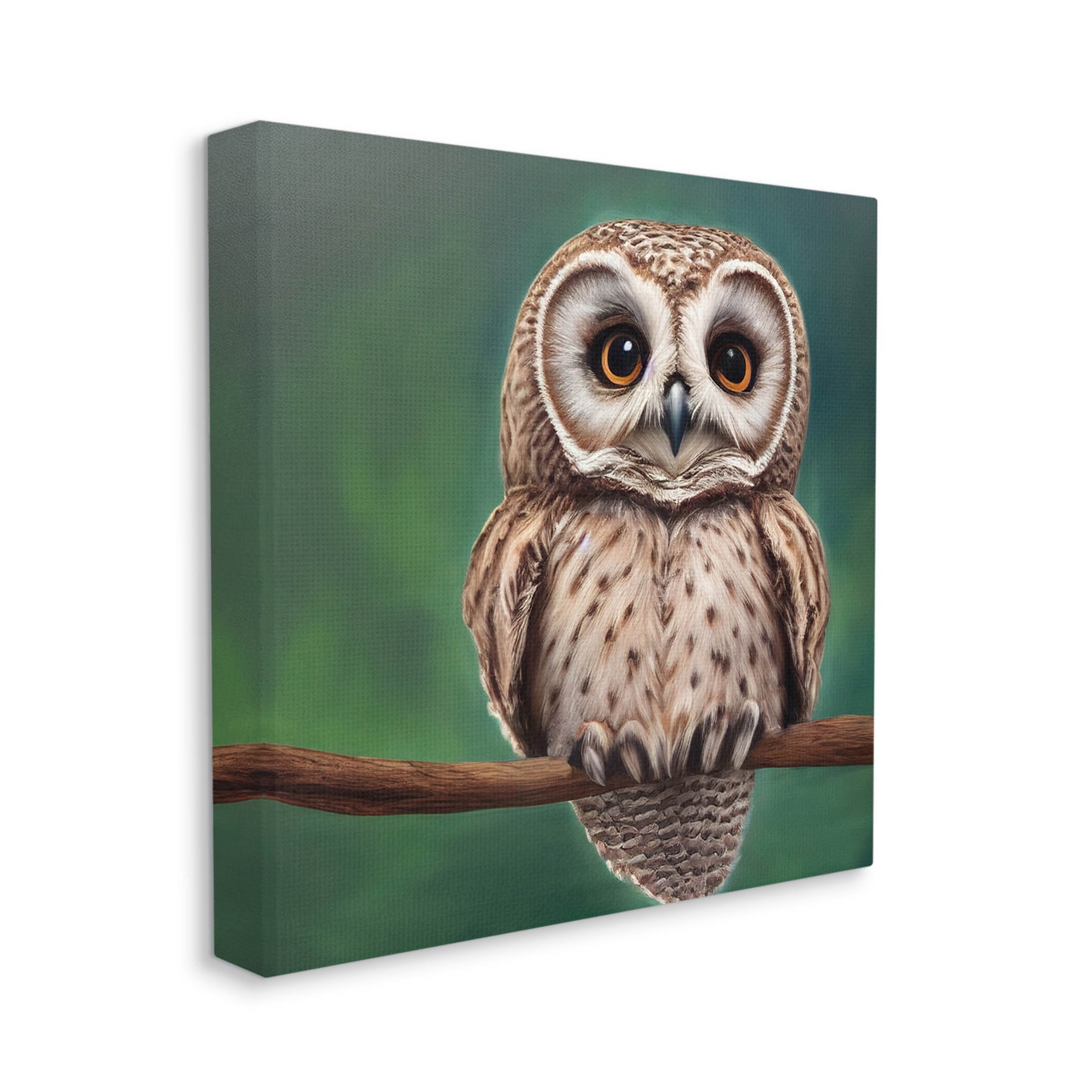 Gazing Spotted Owl Nature Animals & Insects Painting Gallery Wrapped Canvas Print Wall Art