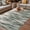 SeaGreen, variant on Sage Green Grey Vintage Outdoor Rug for Patio/Deck/Porch, Non-Slip Large Area Rug 5 x 7 Ft, Retro Abstract Art Indoor Outdoor Rugs Washable Area Rugs, Reversible Camping Rug Carpet Runner
