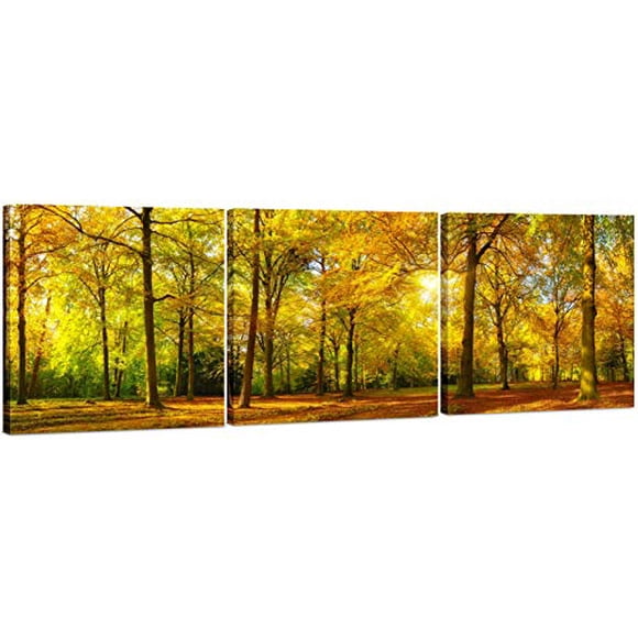 Canvas Wall Art Decor - 24x24 3 Piece Set (Total 24x72 inch) - Tree Filled Forest Landscape - Large Decorative & Modern Multi Panel Split Prints for Dining & Living Room, Kitchen, Bedroom & Office