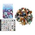 thumbnail image 1 of Rock Collection KOLT MINING Premium Bulk Rugoso de 1,8 kg con guía, 1 of 6