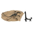 thumbnail image 2 of Figura Fósil De Esqueleto De Dinosaurio, Modelo Fósil De Dinosaurio, Resina Educativa Decorativa Con Soporte Para Vitrina, 2 of 7
