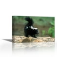 thumbnail image 1 of Striped Skunk kit on log with raised tail to spray, North America - Contemporary Fine Art Giclee on Canvas Gallery Wrap - wall décor - Art painting - 27 x 18 Inch - Ready to Hang, 1 of 2