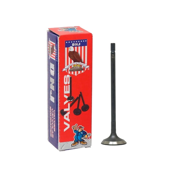 DNJ IV4316 Intake Valve Set Fits Cars & Trucks 2014-2019 Mazda 3 2.5L L4 2488cc 16V DOHC