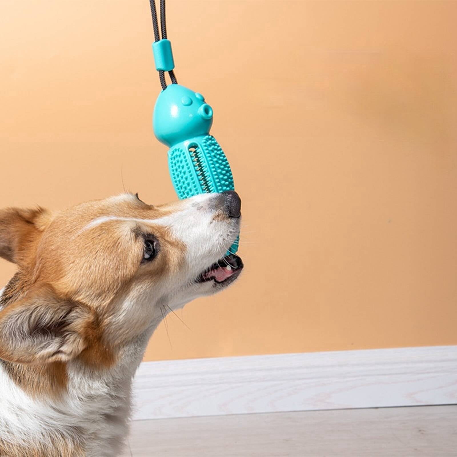 BESTSKY 2026 New Dog Ball Maintains Oral Hygiene Puppy Teething Toy Attracts Pet Interest Dog Chew Toy Green for Dental Care Teething Relief Interactive Play Puppy Entertainment