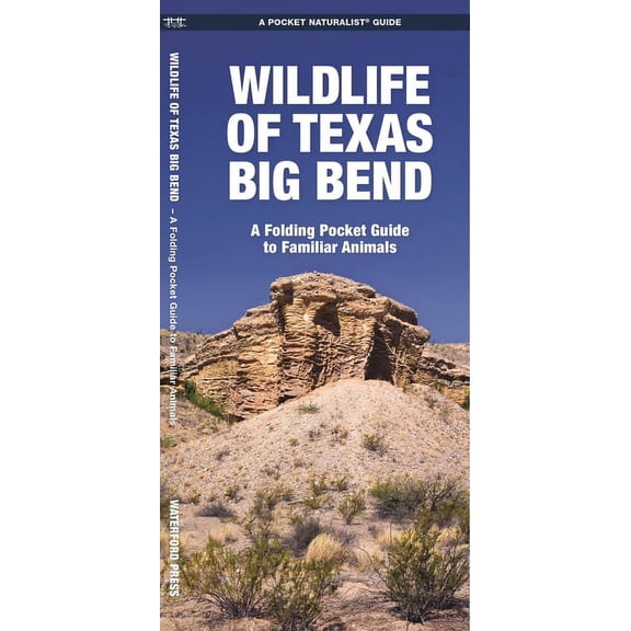 Pocket Naturalist Guide: Wildlife of Texas Big Bend : A Folding Pocket Guide to Familiar Animals (Other)